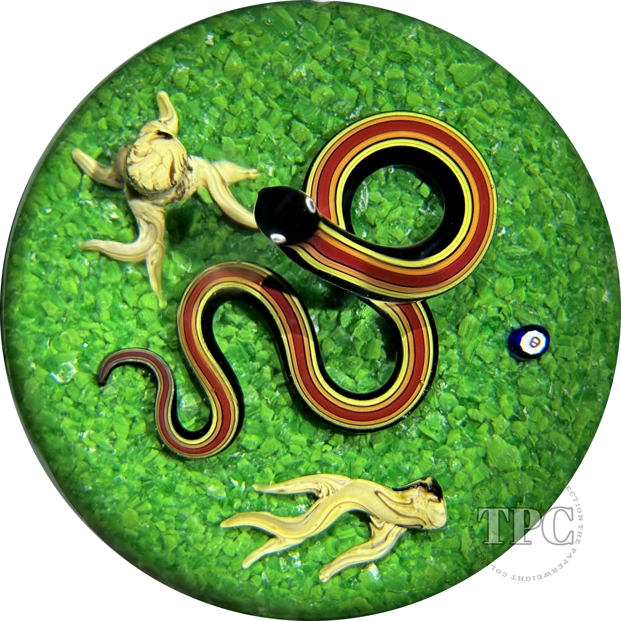Bob Banford Glass Art Paperweight Flamework Stripped Snake on Green