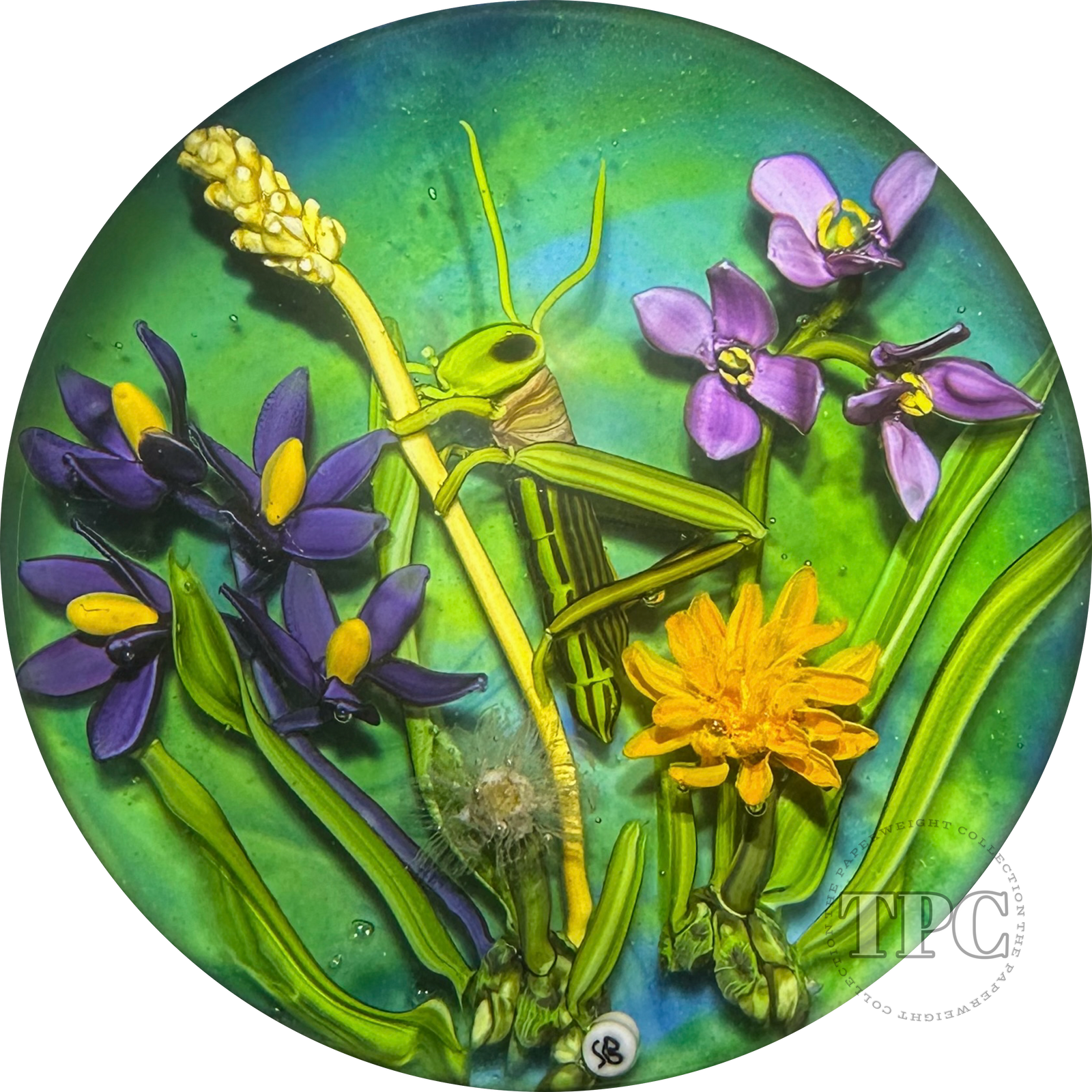 Stefan Bracht 2020 Glass Art Paperweight Flamework Grasshopper with Wildflowers