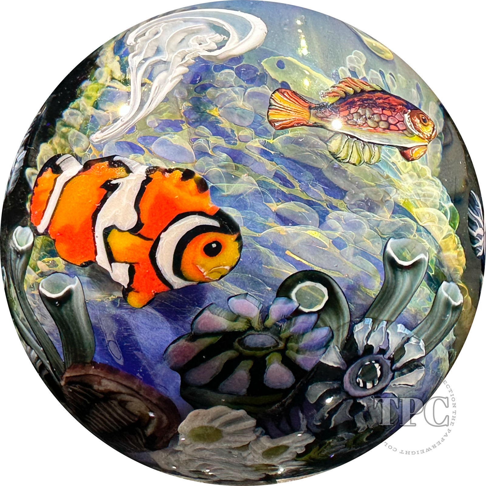 Stephen Boehme 2023 Glass Art Marble Figural Murrine Ocean Deep Sea Scene with Various Fish