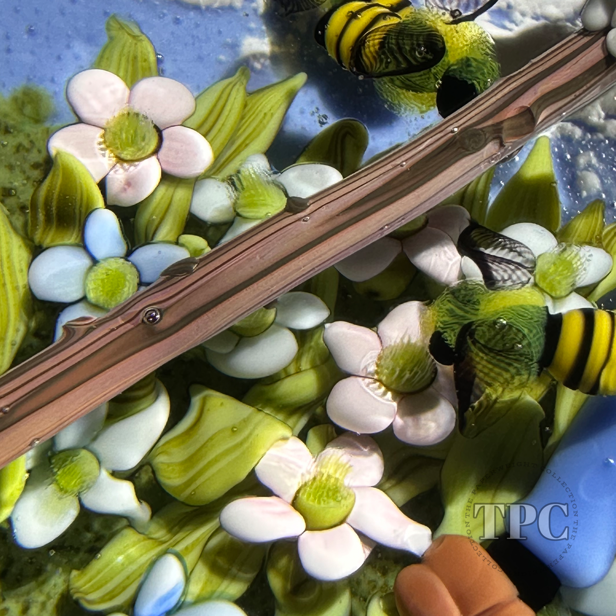 Clinton Smith 2024 Glass Art Paperweight Flamework Goofy with Numerous