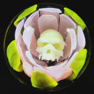 Rocko Belloso 2024 Glass Art Marble Flamework Pink Life in Death Flower
