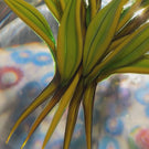 Chris Buzzini 1998 Glass Art Paperweight Flamework Wildflower Bouquet