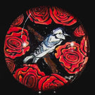 Robert Koch 2023 Glass Art Marble Murrine Blue Jay Bird with Red Roses