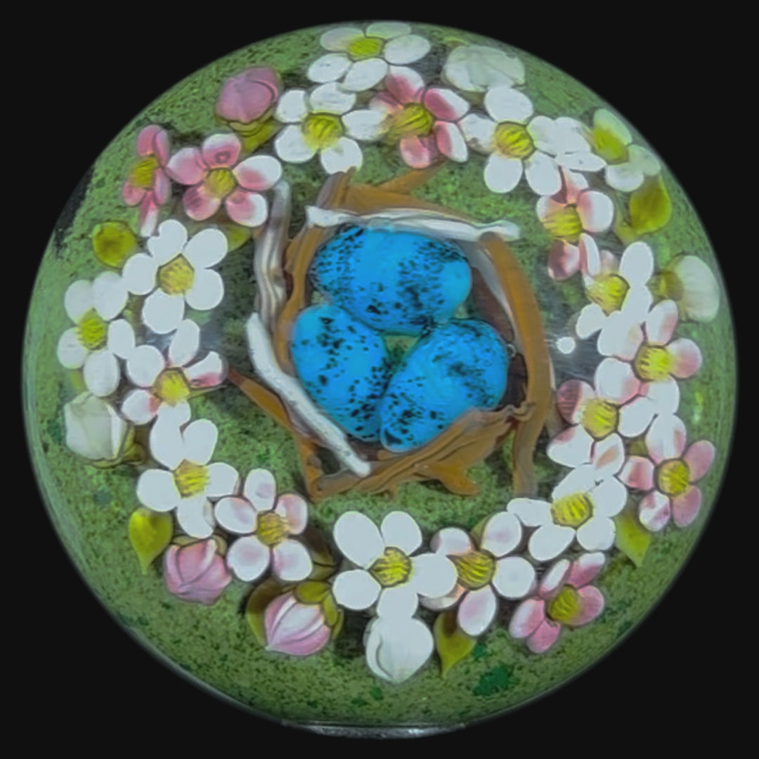 Clinton Smith 2025 Glass Art Marble Flamework Robin and Its Nest