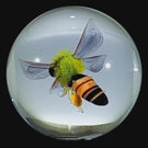 David Graeber 2024 Glass Art Marble Flamework Honeybee