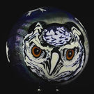 Robert Koch x Stephen Boehme Collab 2023 Glass Art Marble Murrine Owl & Snow Leopard with Snowflakes