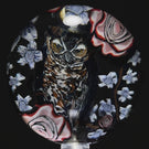 Huge Robert Koch & Stephen Boehme Collab 2023 Glass Art Marble Murrine Owl, Roses & Cherry Blossoms