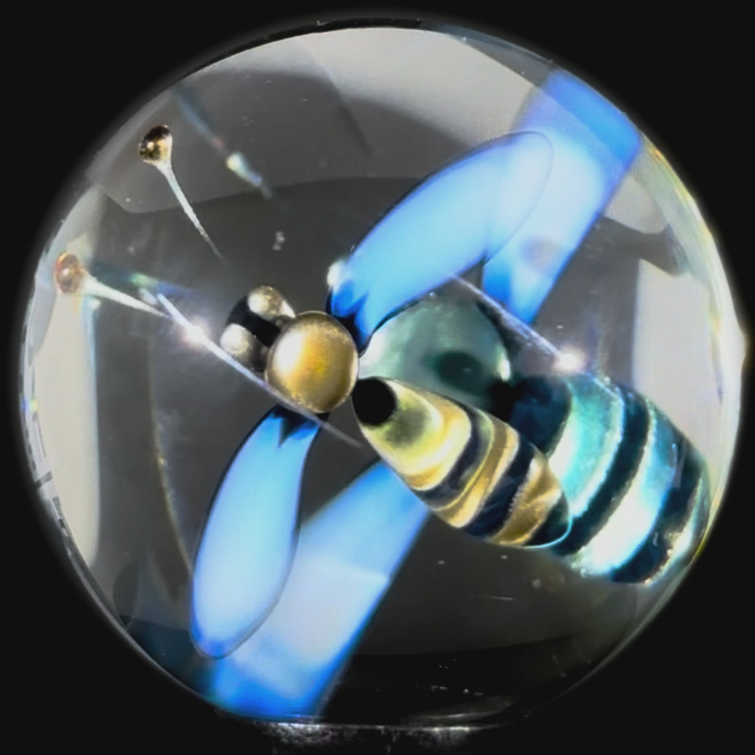 Florin Voicu 2025 Glass Art Marble Flamework Blue and Gold Electrum Bees