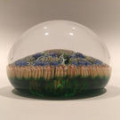 Vintage Perthshire Art Glass Paperweight 7 Spoke Twists & Millefiori on Green