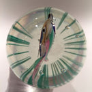 Huge 9" Footed Murano Cenedese Aquarium Fish Art Glass Paperweight Sculpture