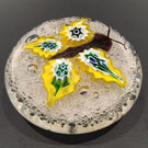 Vintage Murano Art Glass Paperweight Millefiori Butterfly On Bubble Froth Ground