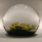 Selkirk Peter Holmes Art Glass Paperweight 3D Floral Lampwork - "Primrose"