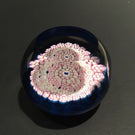 Caithness Whitefriars Art Glass Paperweight Millefiori Butterfly Silhouette Cane