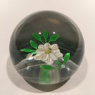 Rare Vintage Hugh Smith Art Glass Paperweight White Floral Lampwork