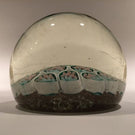 Early Murano Art Glass Paperweight Complex Silhouette Bouquet Millefiori