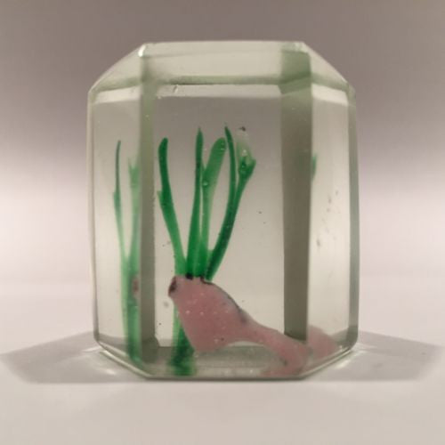 Early Chinese Art Glass Paperweight Faceted Fish Tank Aquarium