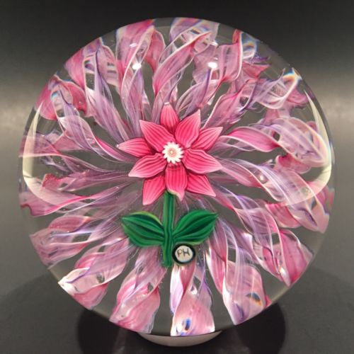 Signed Peter Holmes Selkirk Art Glass Paperweight Floral Pink Latticino