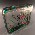 Vintage Murano Art Glass Paperweight Lampworked Fish Aquarium