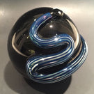Signed Steven Correia Art Glass Metallic Coiled 3d Snake Over Black