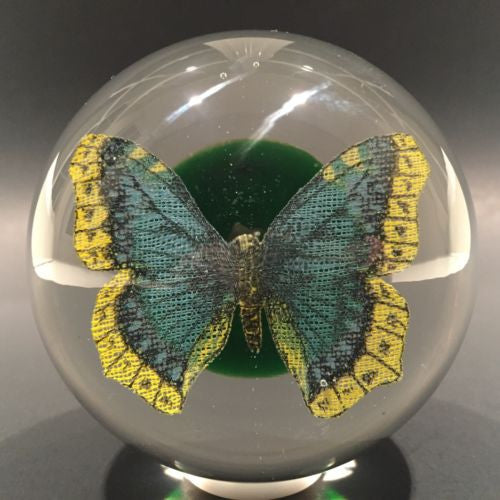 Vintage Beranek Czech Art Glass Paperweight Detailed Butterfly On Green