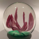 Vintage Elwood Indiana American Studio Art Glass Paperweight Crimp Pink Tulip