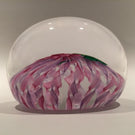 Signed Peter Holmes Selkirk Art Glass Paperweight Floral Pink Latticino