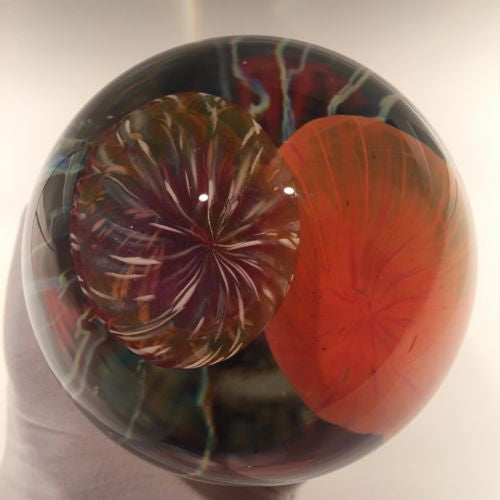 Rare Richard Satava Art Glass Paperweight Two Species Double Jellyfish