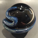 Signed Steven Correia Art Glass Metallic Coiled 3d Snake Over Black