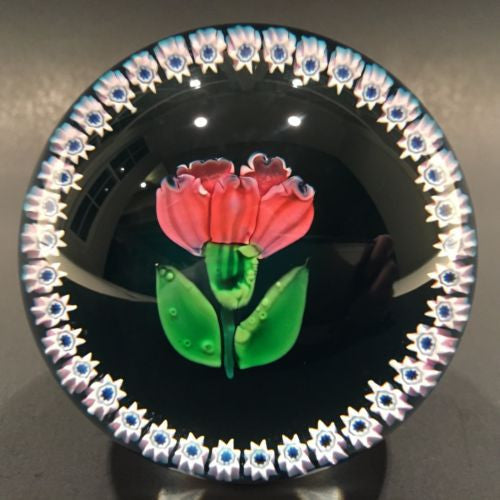 Vintage Caithness Art Glass Paperweight Lampworked August Carnation & Millefiori