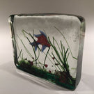 Vintage Murano Art Glass Paperweight Lampworked Fish Aquarium