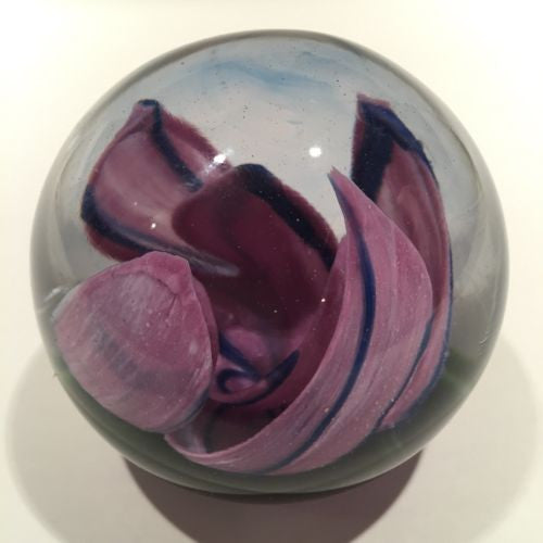 High Quality Studio Art Glass Paperweight Purple Crimped Tulip On Green