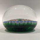 Vintage Medium Perthshire Art Glass Paperweight Twists and Millefiori on Green