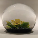 Selkirk Peter Holmes Art Glass Paperweight 3D Floral Lampwork - "Primrose"