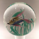 Huge 9" Footed Murano Cenedese Aquarium Fish Art Glass Paperweight Sculpture