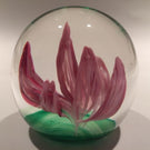 Vintage Elwood Indiana American Studio Art Glass Paperweight Crimp Pink Tulip