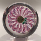 Signed Peter Holmes Selkirk Art Glass Paperweight Floral Pink Latticino