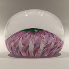 Signed Peter Holmes Selkirk Art Glass Paperweight Floral Pink Latticino