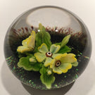 Selkirk Peter Holmes Art Glass Paperweight 3D Floral Lampwork - "Primrose"