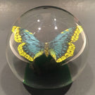 Vintage Beranek Czech Art Glass Paperweight Detailed Butterfly On Green