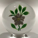 Rare Vintage Hugh Smith Art Glass Paperweight White Floral Lampwork