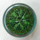 Vintage Perthshire Art Glass Paperweight 7 Spoke Twists & Millefiori on Green