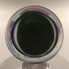 High Quality Studio Art Glass Paperweight Purple Crimped Tulip On Green