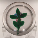 Antique Clichy Art Glass Paperweight Millefiori Lampworked Nosegay Bouquet