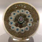 Vintage Murano Fratelli Toso Art Glass Paperweight Millefiori Grape Silhouette