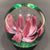 Vintage Elwood Indiana American Studio Art Glass Paperweight Crimp Pink Tulip