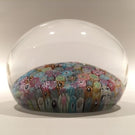 Baccarat Art Glass Paperweight Close Pack Millefiori 50+ Zodiac Silhouette Canes