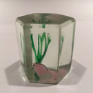 Early Chinese Art Glass Paperweight Faceted Fish Tank Aquarium