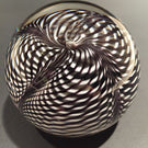 Signed Correia Art Glass Paperweight Black & White Pulled Feather Stripes