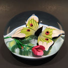 Rare Saint Louis Art Glass Paperweight Lampworked Butterfly And Rose c. 1989