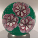 Vintage Murano Art Glass Paperweight Complex Pink Millefiori flowers on Green